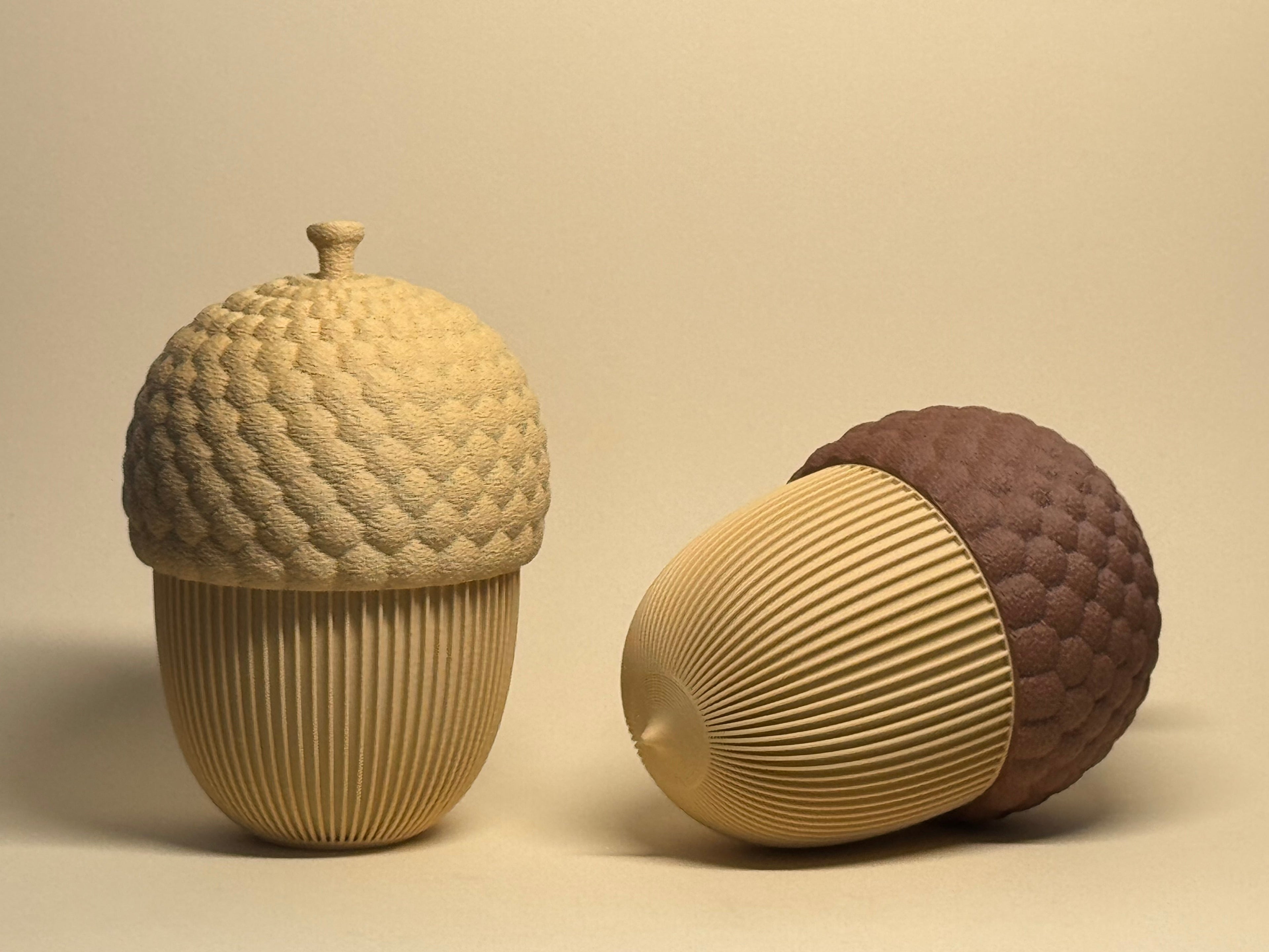 Acorn Containers (two)